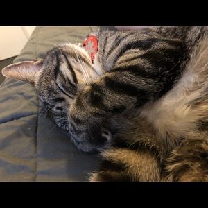 Meet your Posher, Amy